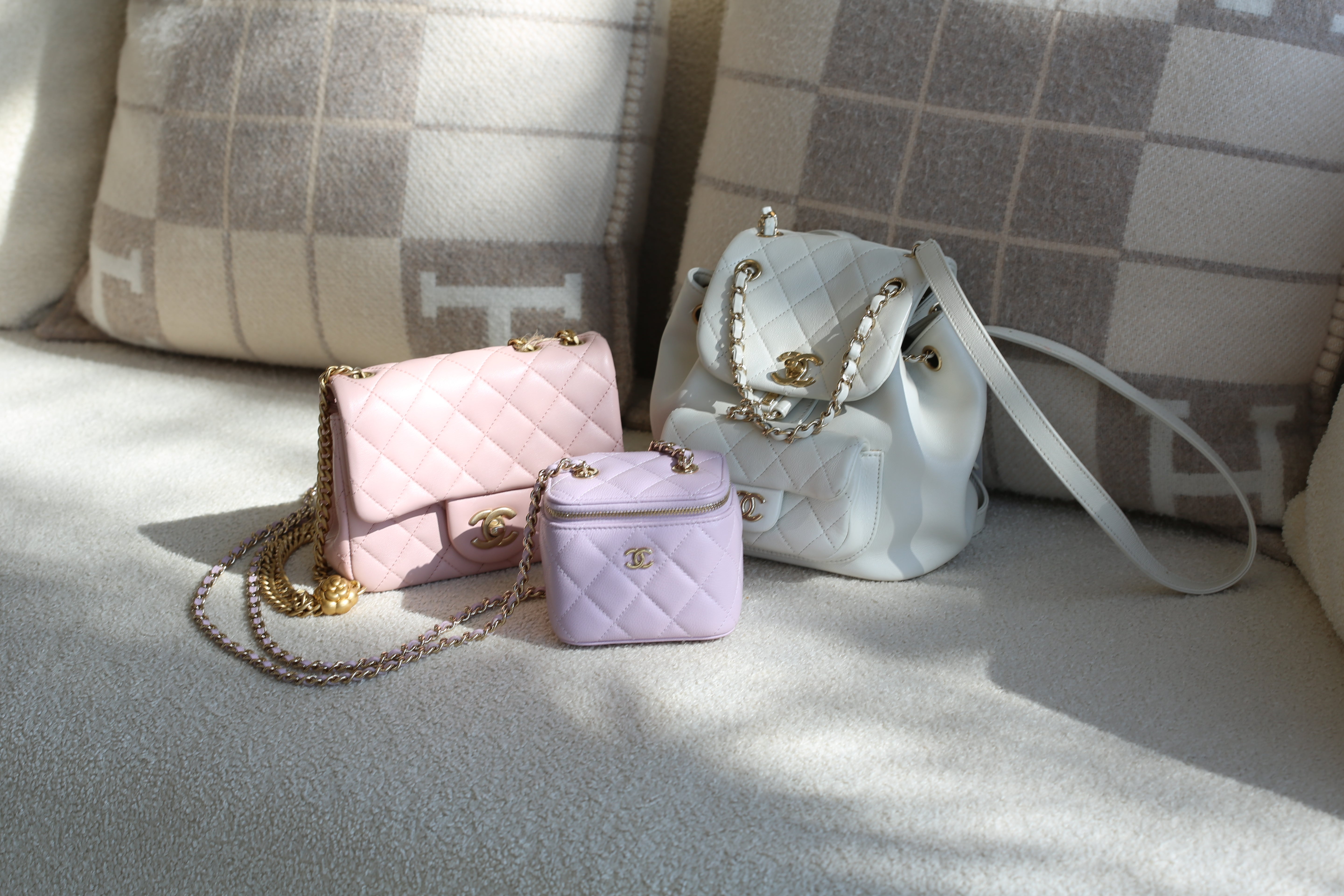CHANEL ALL BAGS