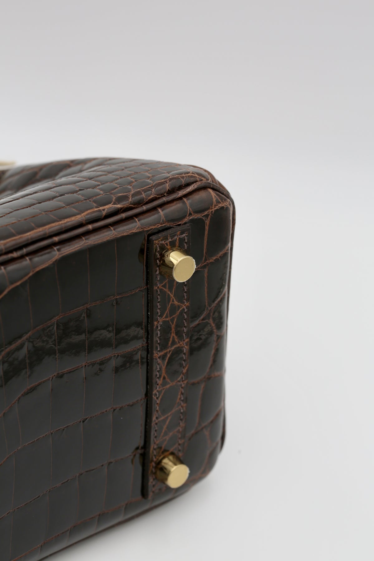 HERMÈS BIRKIN25 NILOTICUS HAVANE GOLD HARDWARE Z STAMP
