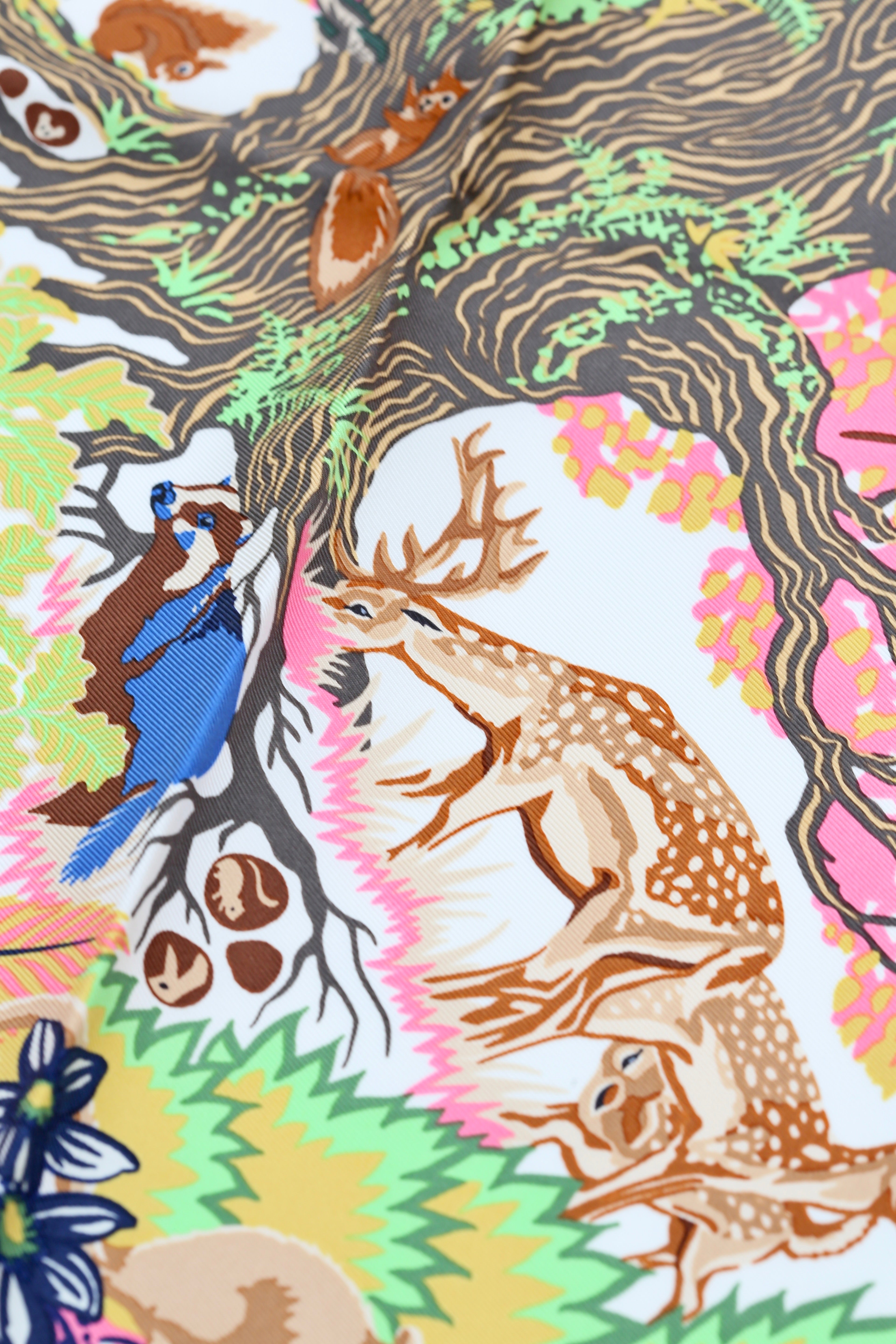 HERMÈS SCARF90X90 CARRE TWILL REWILDING NATURE EX/ROSE/VERT/BLEU