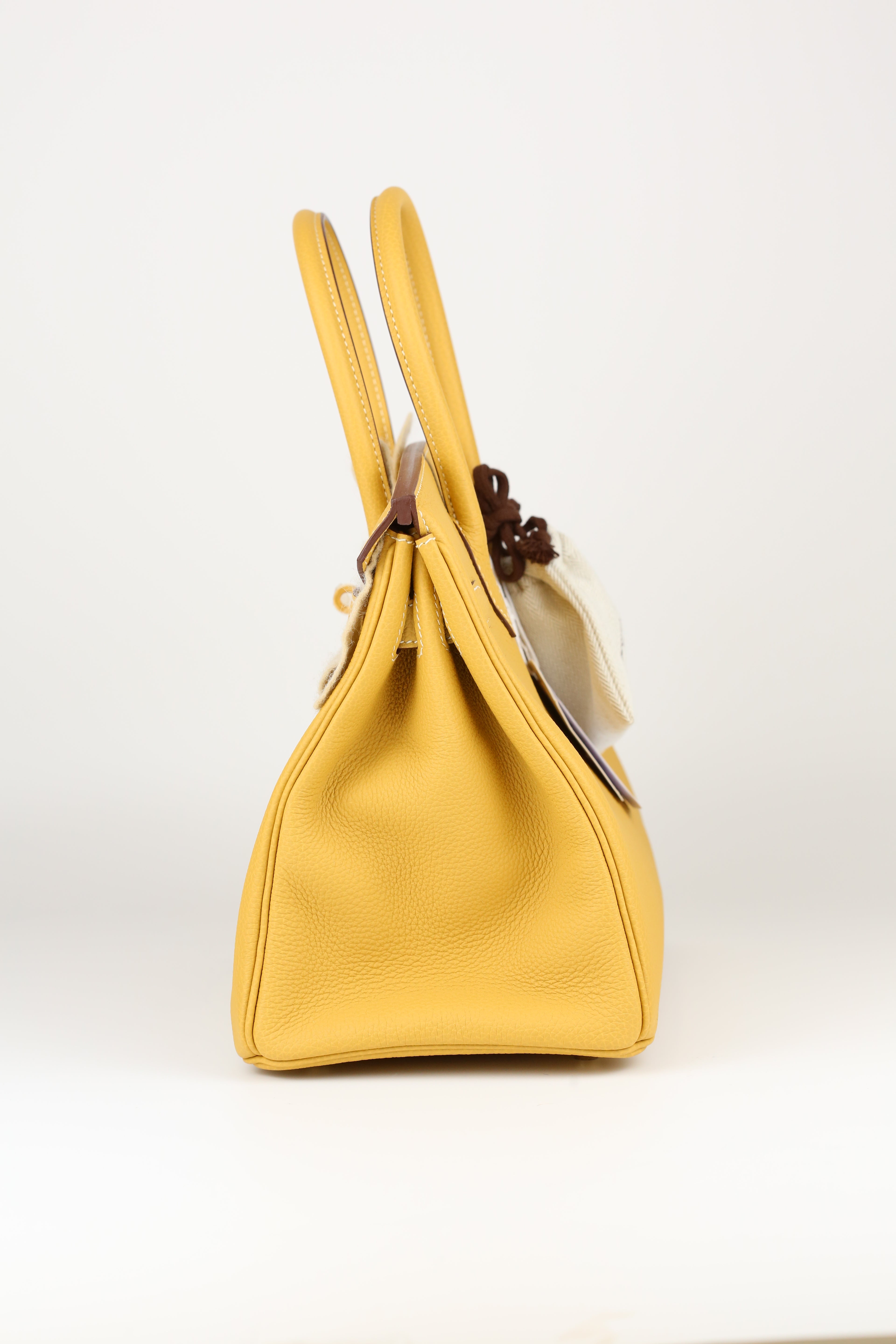 Hermes Box Birkin 30 Curry