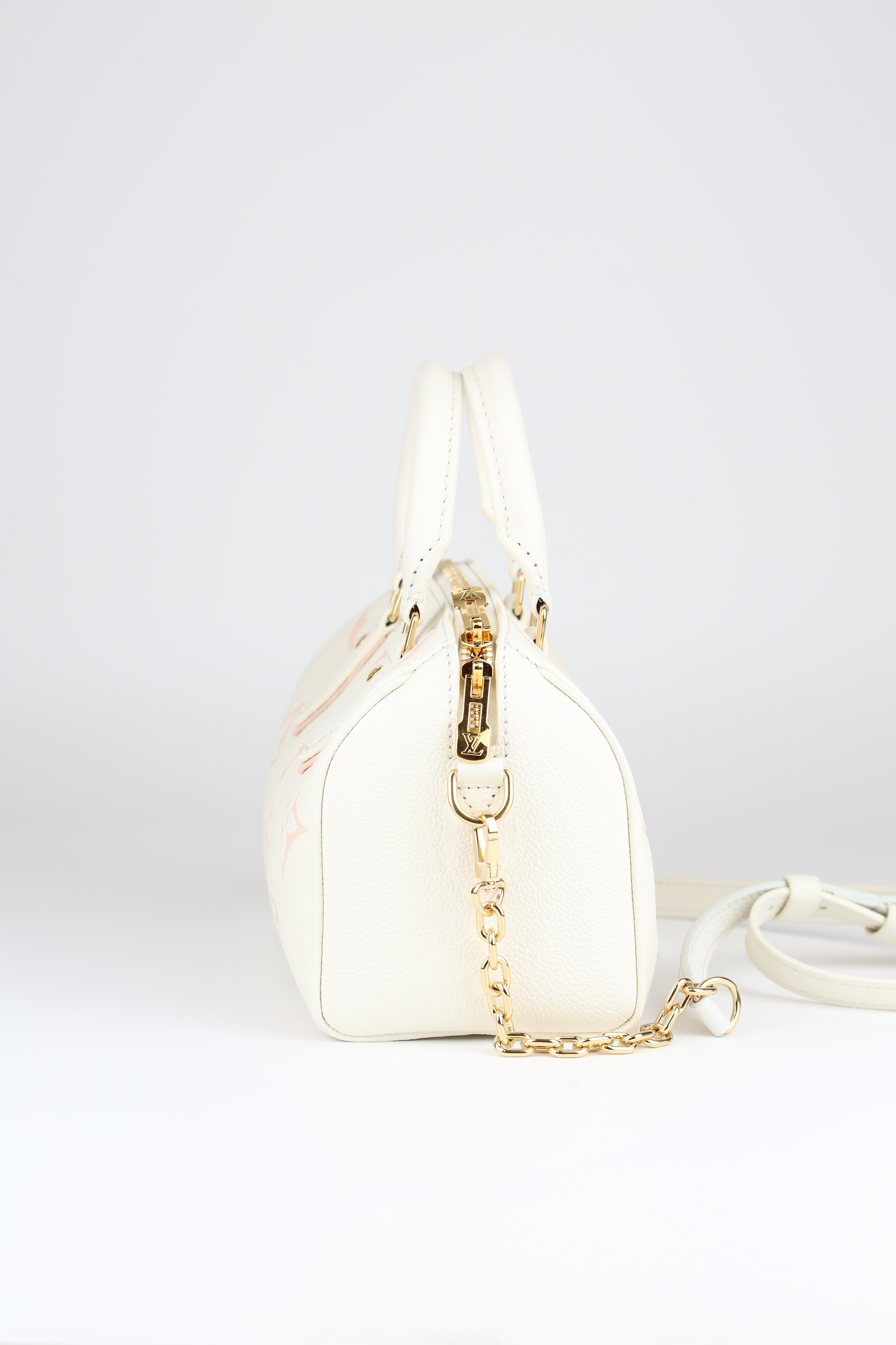 LOUIS VUITTON Speedy 20