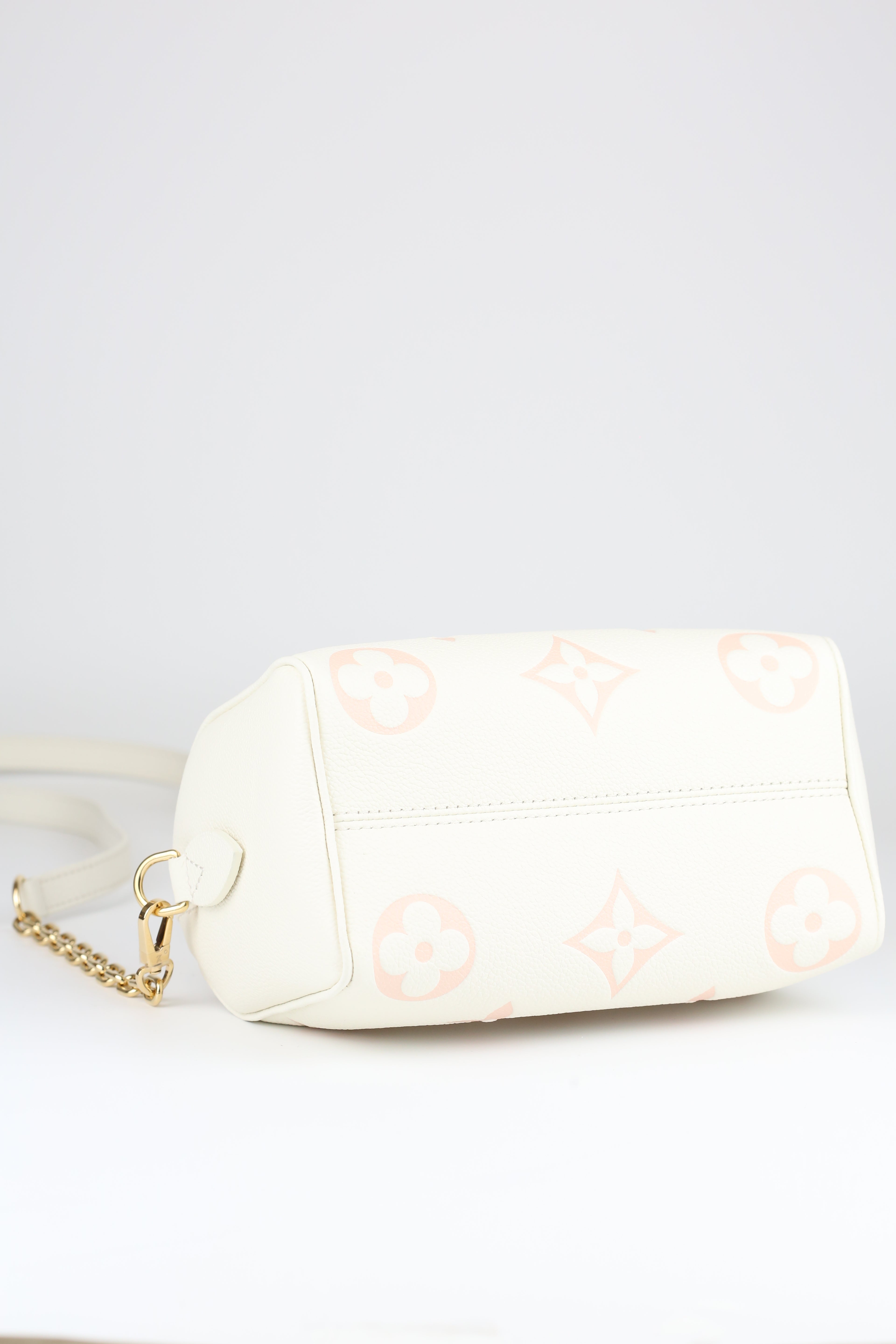 LOUIS VUITTON Speedy 20