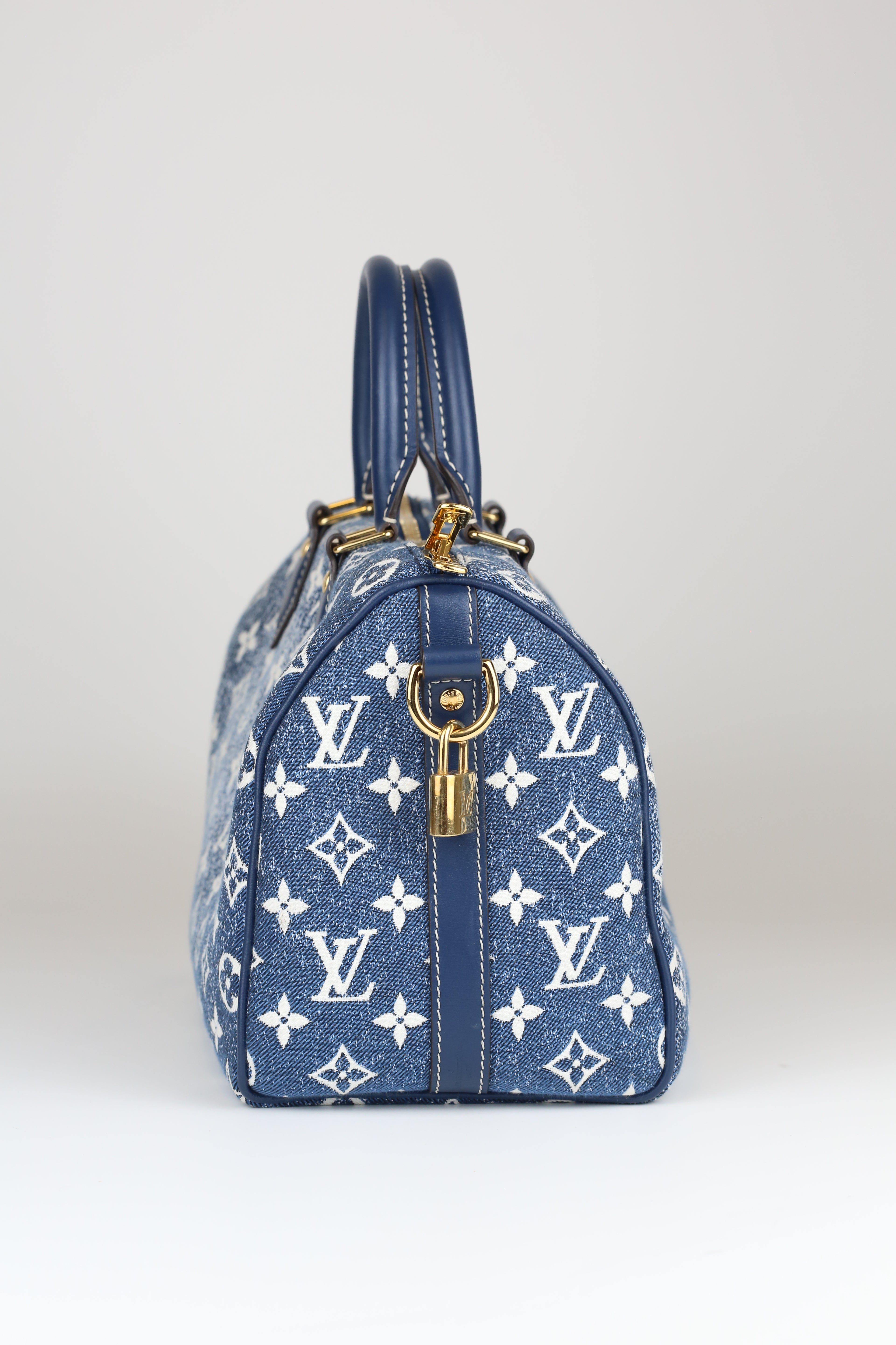 LOUIS VUITTON Speedy 20