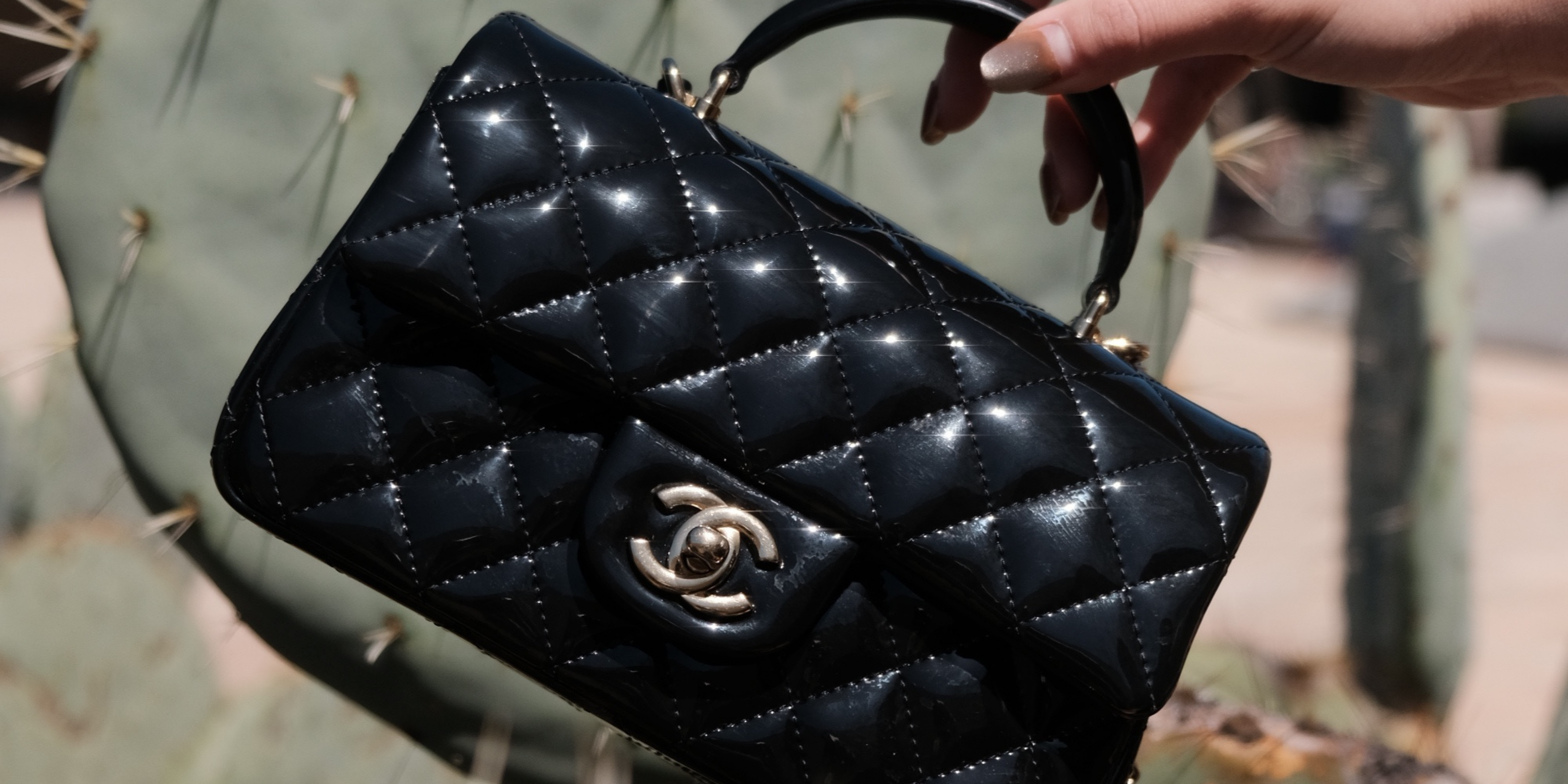 CHANEL ALL BAGS