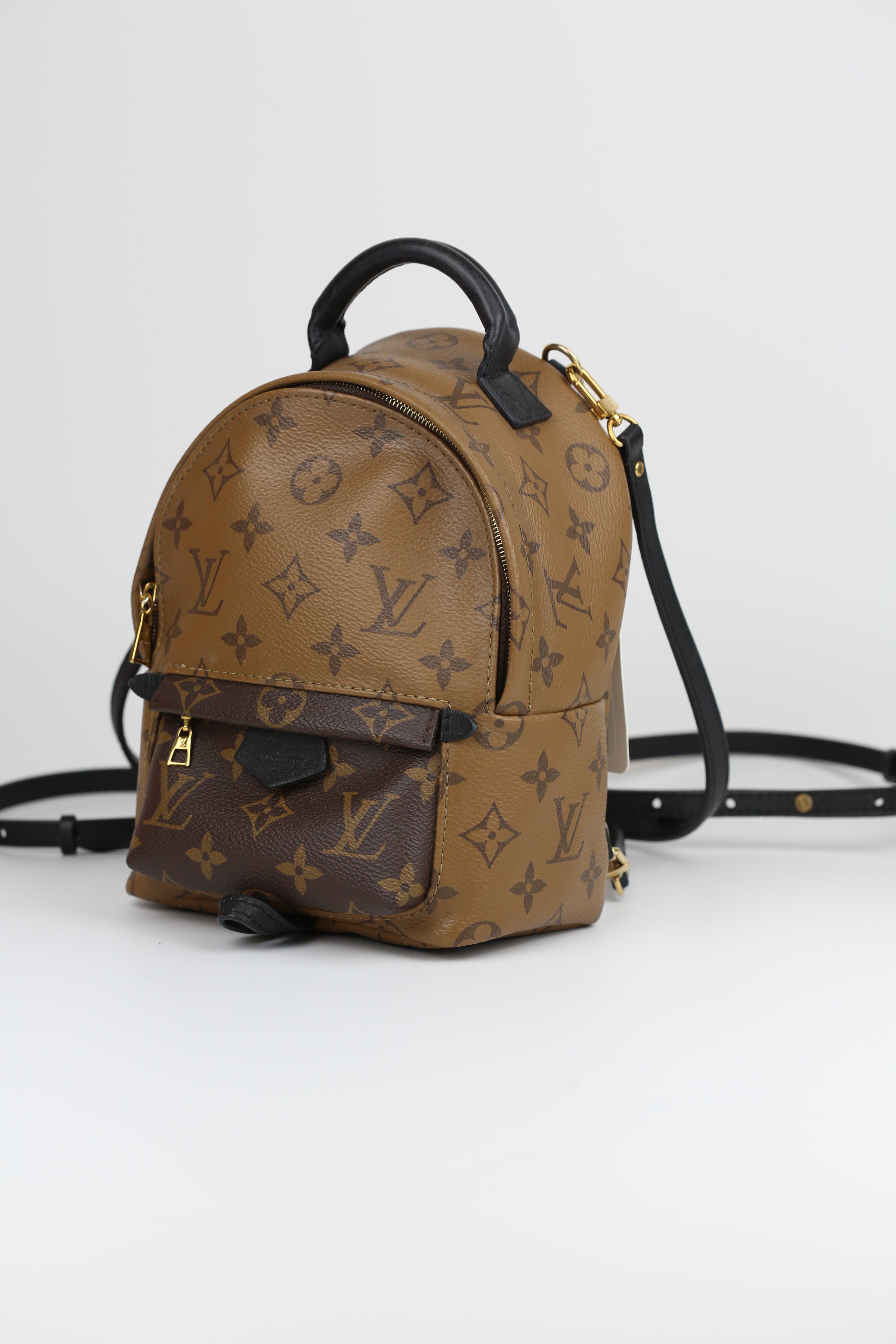 LOUIS VUITTON  Palm Spring Mini Monogram