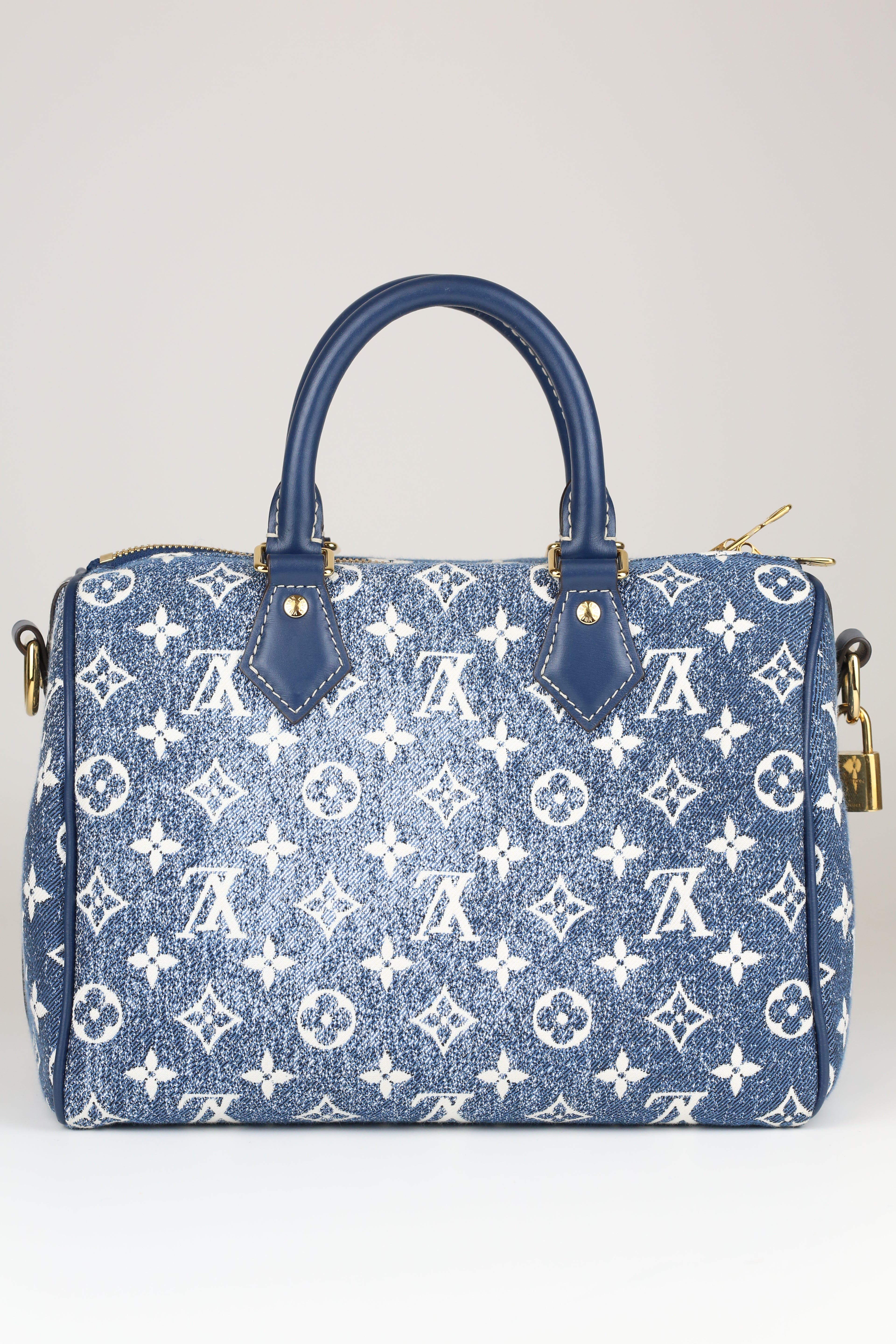 LOUIS VUITTON Speedy 20