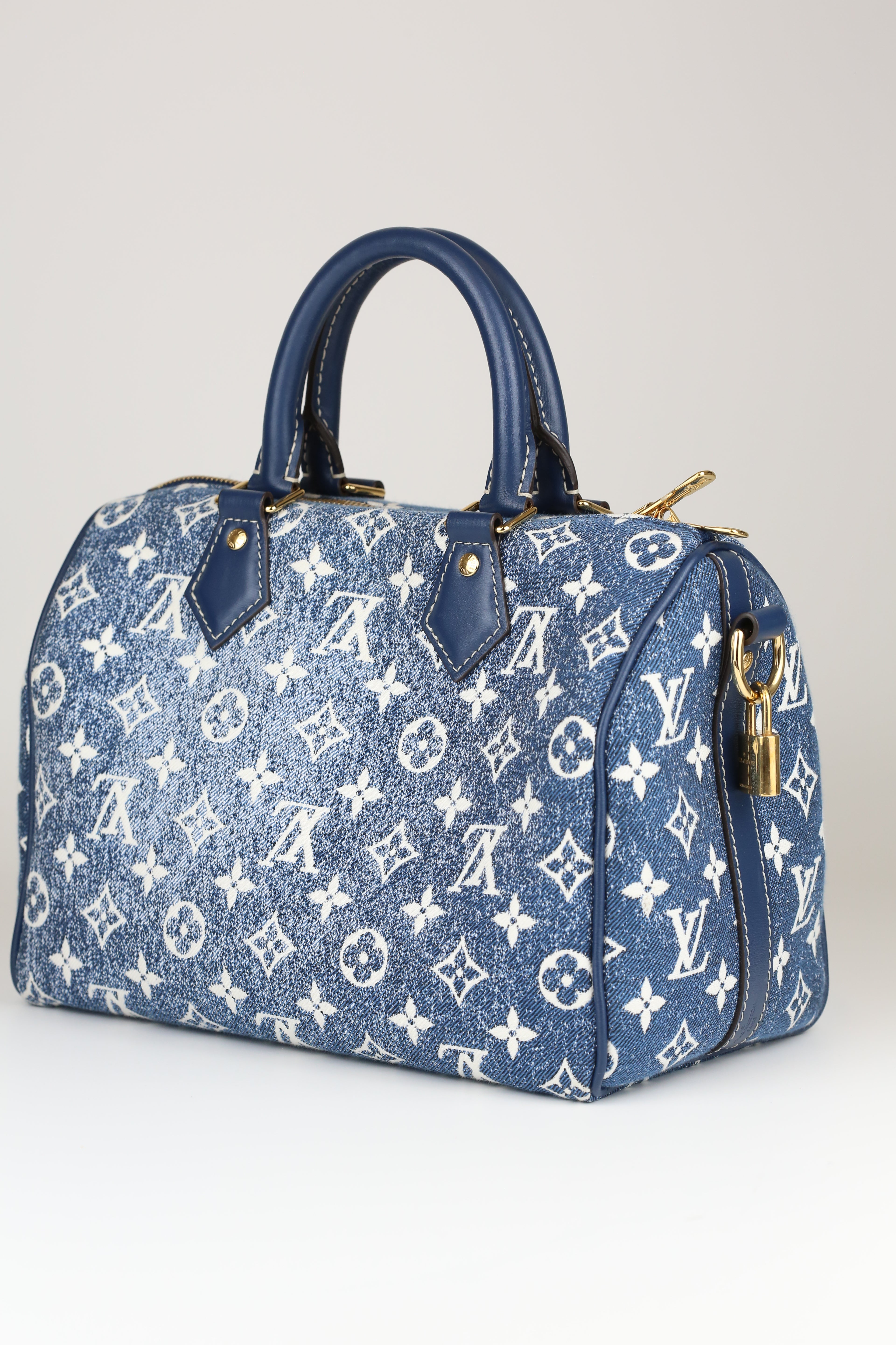 LOUIS VUITTON Speedy 20